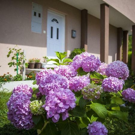 Apartamento Kuca Bulajic Budva Exterior foto